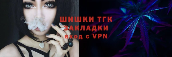 винт Карпинск