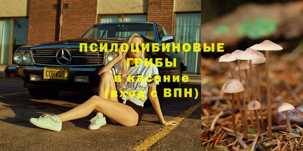 ешки Касимов
