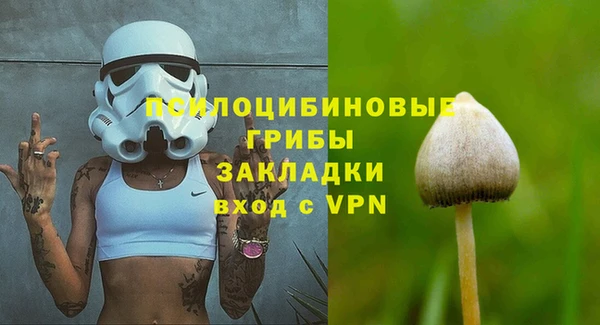 винт Карпинск