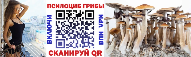 Галлюциногенные грибы прущие грибы  Купить закладки  Ак-Довурак 