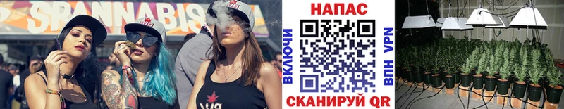 Бошки Шишки индика  Купить закладки  Ак-Довурак 